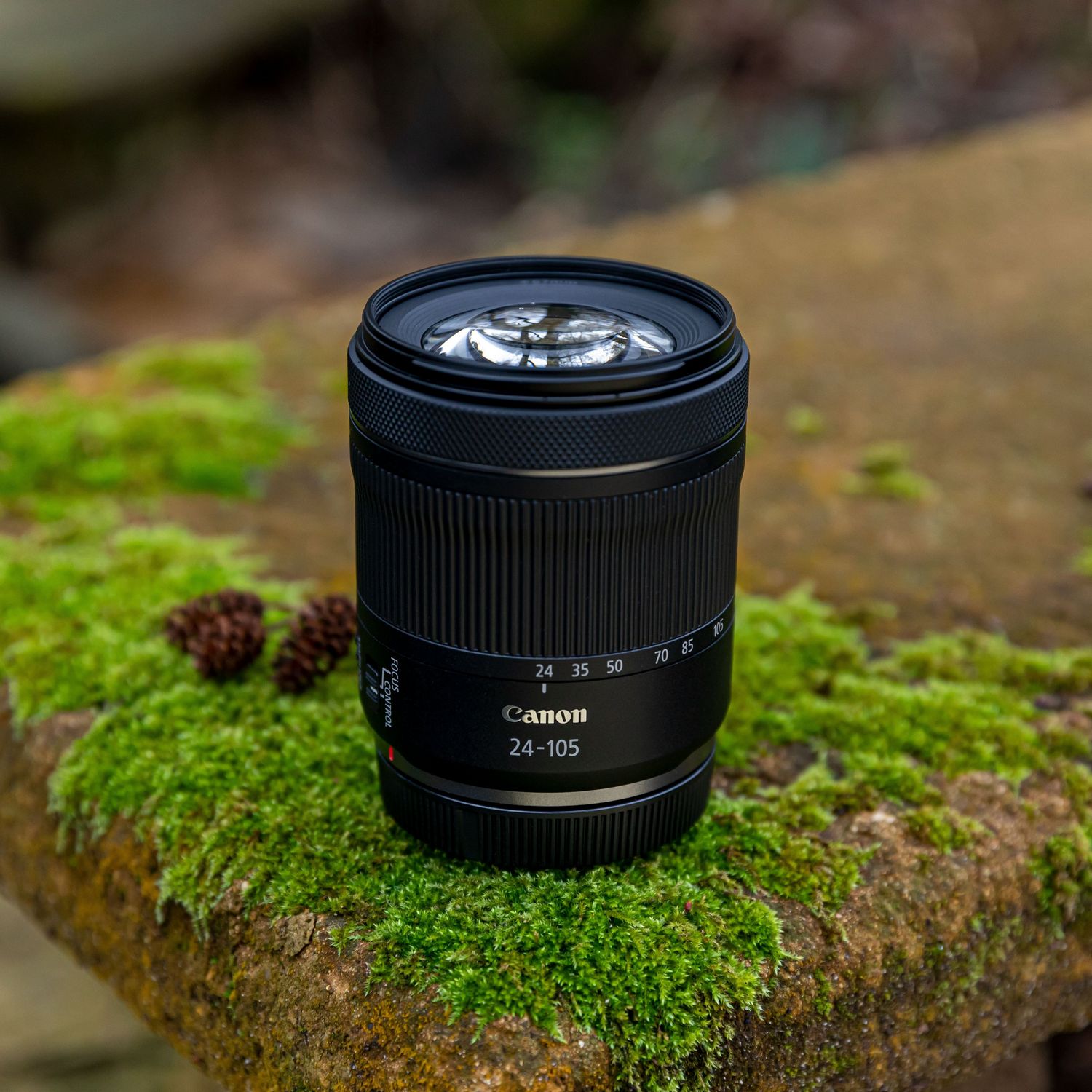 Lente Canon RF 24-105mm f/4-7.1 IS STM apoyado sobre musgo en exteriores
